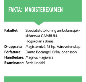 Magisteruppsats---Dante