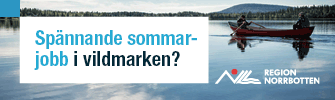 Spännande sommarjobb i vildmarken - Region Norrbotten